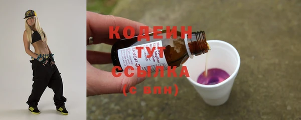 МДПВ Нея