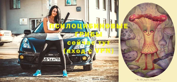 ешки Нефтекумск