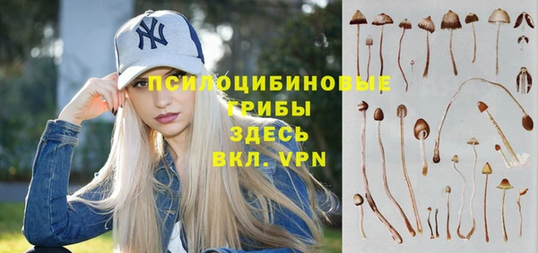 МДПВ Нея
