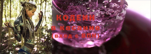 МДПВ Нея