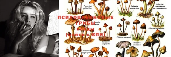 ешки Нефтекумск
