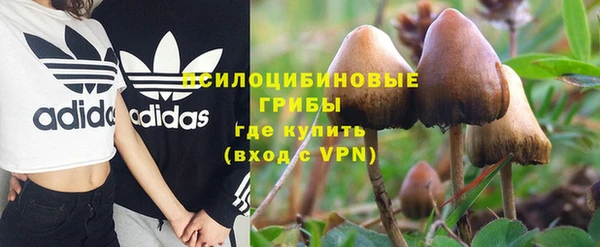 МДПВ Нея