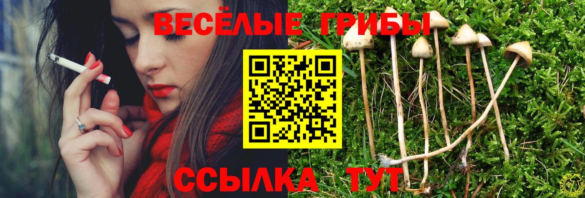Галлюциногенные грибы мухоморы  как найти закладки  Красногорск  Вход с VPN 