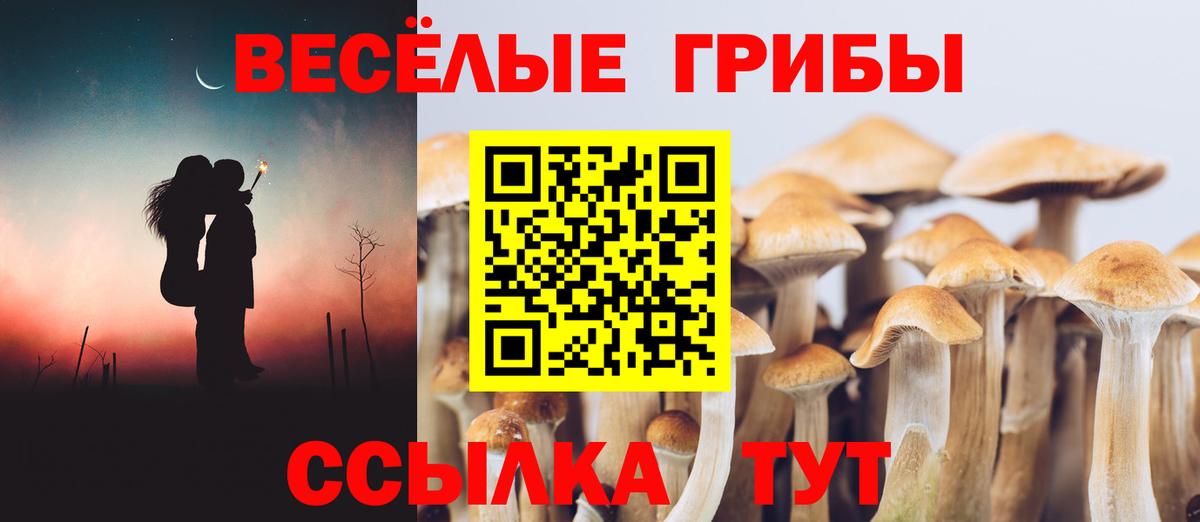 Псилоцибиновые грибы Magic Shrooms Красногорск